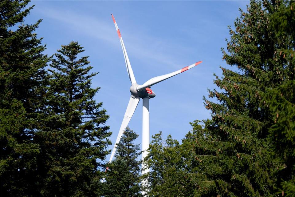 Die Landesforstanstalt soll mit Energieprojekten Geld verdienen. (Archivbild)Sven Hoppe/dpa