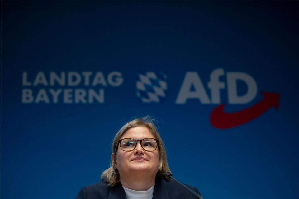 Die Landtags-AfD präsentiert nach ihrer Klausur ein ganzes Paket von Forderungen, insbesondere zum Thema Einbürgerungen. (Archivbild)Peter Kneffel/dpa