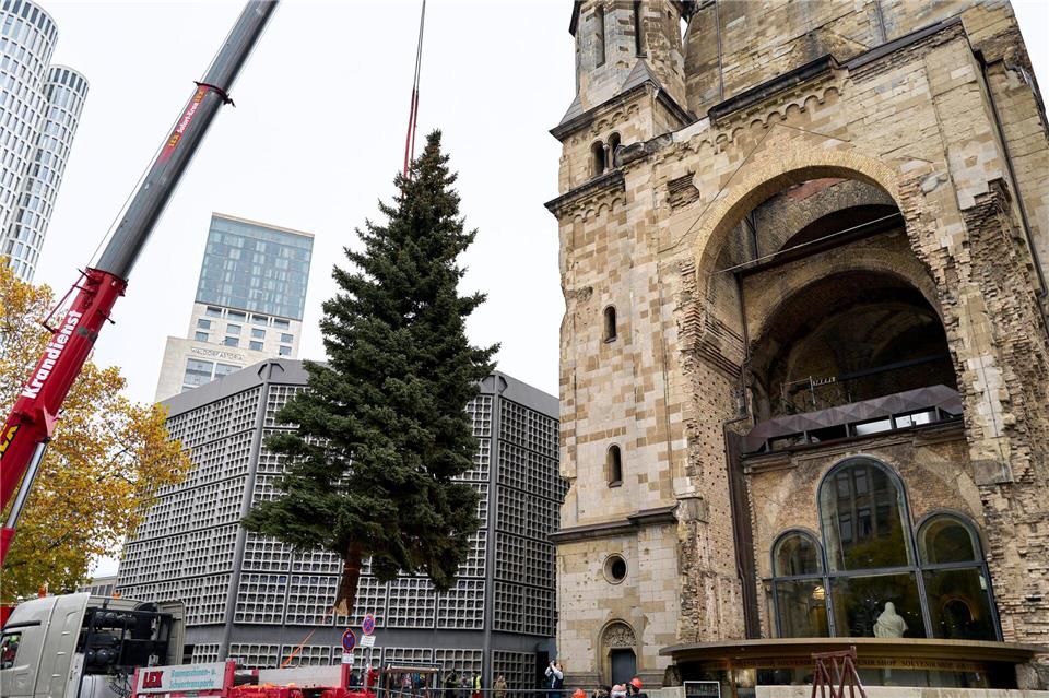 Die Landung der Fichte aus dem Berliner Südosten verlief diesmal reibungslos.Michael Ukas/dpa