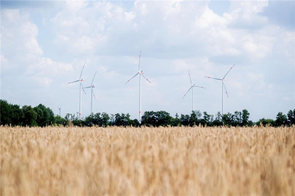 Die Landwirte erwarten weniger Ertrag. Hauke-Christian Dittrich/dpa