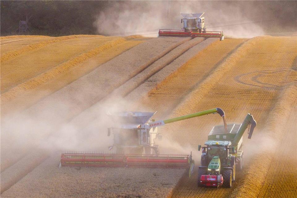 Die Landwirte in MV stecken mitten in der Ernte. Gerste ist bereits vom Halm, jetzt wird der Weizen gedroschen. (Archivbild)Jens Büttner/dpa