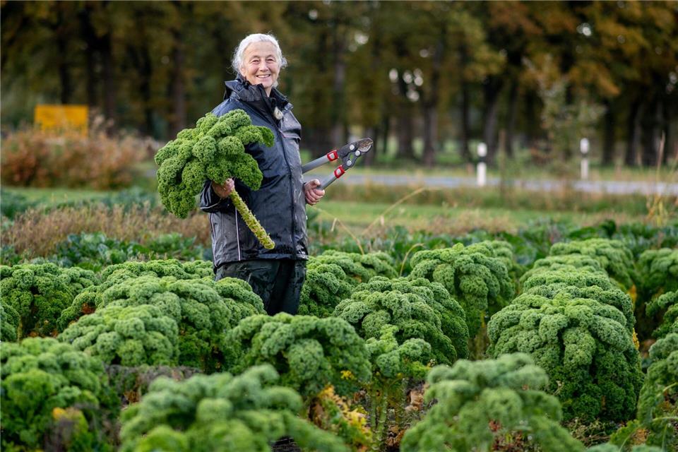 Die Landwirte rechnen mit weniger Ertrag als noch im Vorjahr.Hauke-Christian Dittrich/dpa