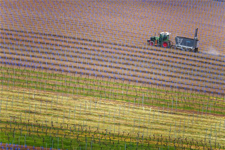 Die Landwirte sehen steigende Kosten auf sie zukommen. (Symbolbild)Frank Rumpenhorst/dpa