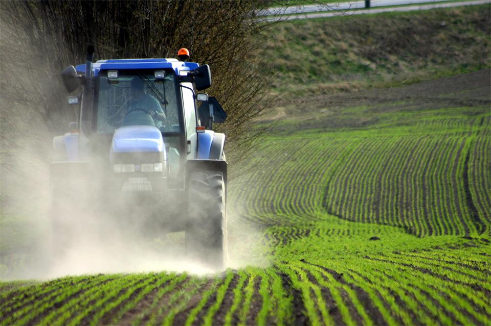 Die Landwirtschaft gehört zu den Branchen, in denen die meisten Menschen über 55 Jahre arbeiten.