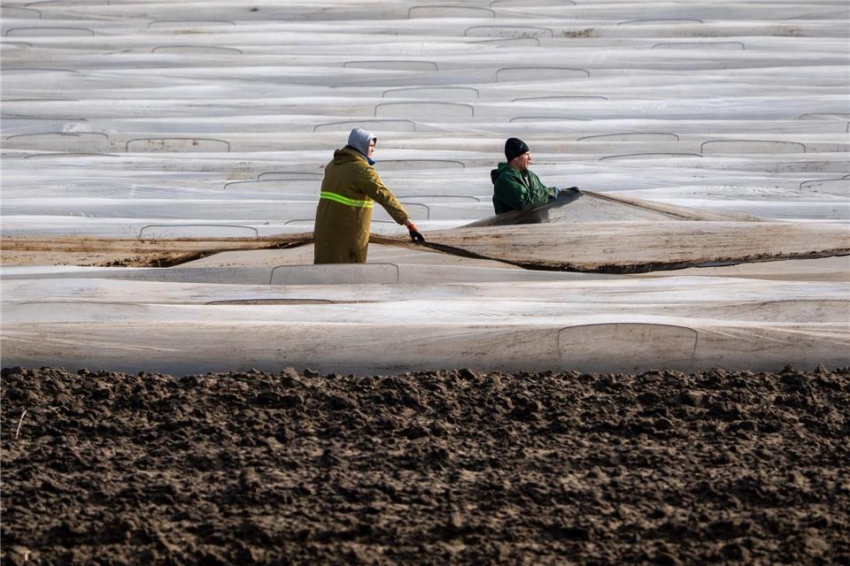 Die Landwirtschaft ist abhängig von Saisonarbeitern. (Symbolbild)Soeren Stache/dpa