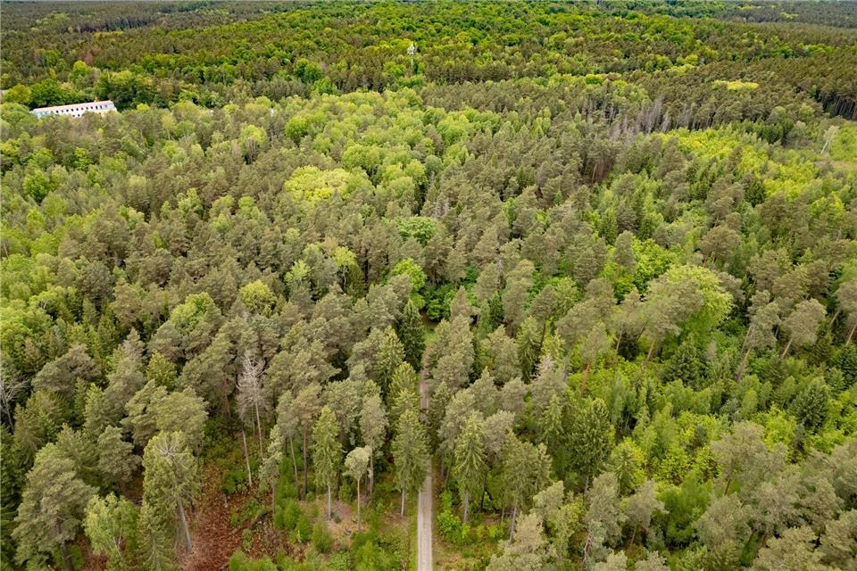 Die Leiche der 21-Jährigen wurde in einem Wald bei Laußnitz gefunden. (Archivbild)Robert Michael/dpa