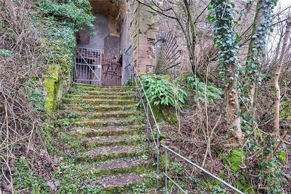 Die Leiche der damals 24-jährigen Amy Lopez wurde an einer Art „Lost Place“ unterhalb der Festung Ehrenbreitstein entdeckt. (Archivbild)Thomas Frey/dpa