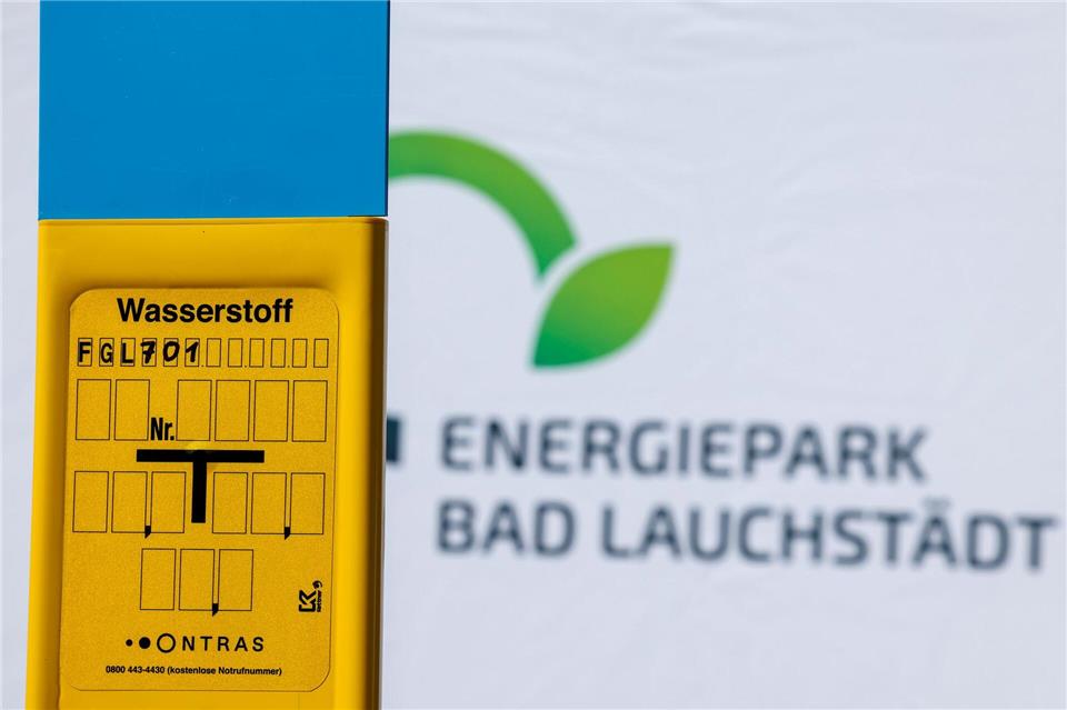 Die Leitung soll künftig grünen Wasserstoff zur Raffinerie transportieren. (Archivbild)Jan Woitas/dpa