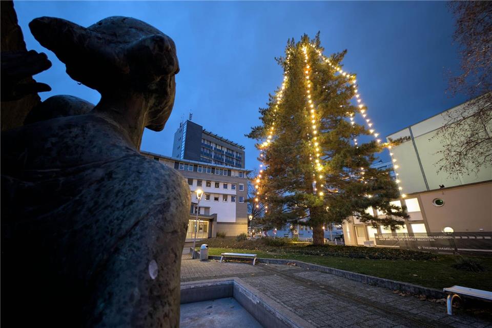 Die Lichterketten sind inzwischen zu klein für den Baum.Stefan Rampfel/dpa