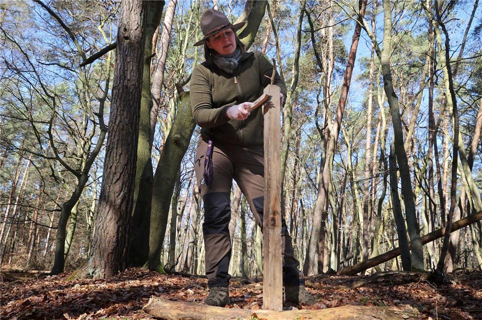 Die Lockstöcke sind eigens angeraut, damit Fell an ihnen hängen bleibt.Bernd Wüstneck/dpa