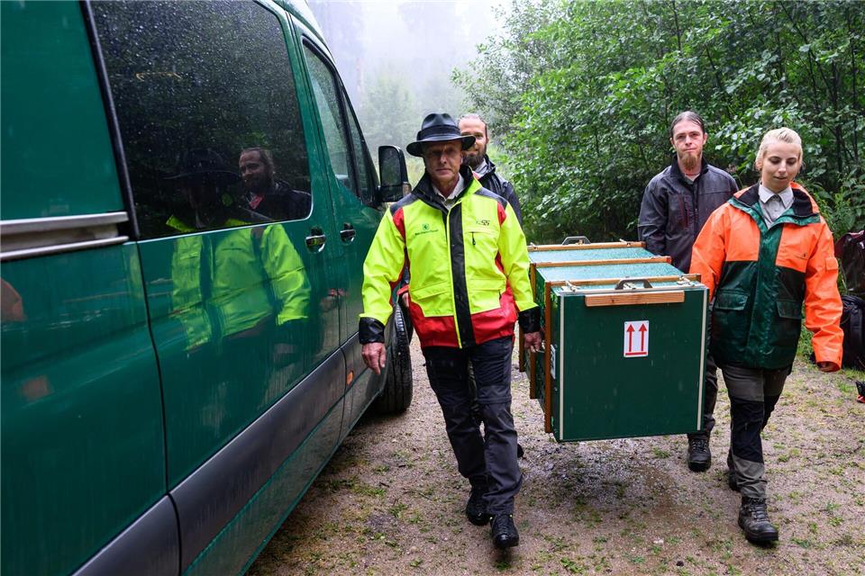 Die Luchse werden in Transportboxen bis zum Ort der Auswilderung getragen. Hendrik Schmidt/dpa