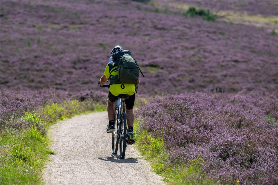 Die Lüneburger Heide eignet sich auch für Tagestouren mit dem Fahrrad. (Archivbild)Philipp Schulze/dpa