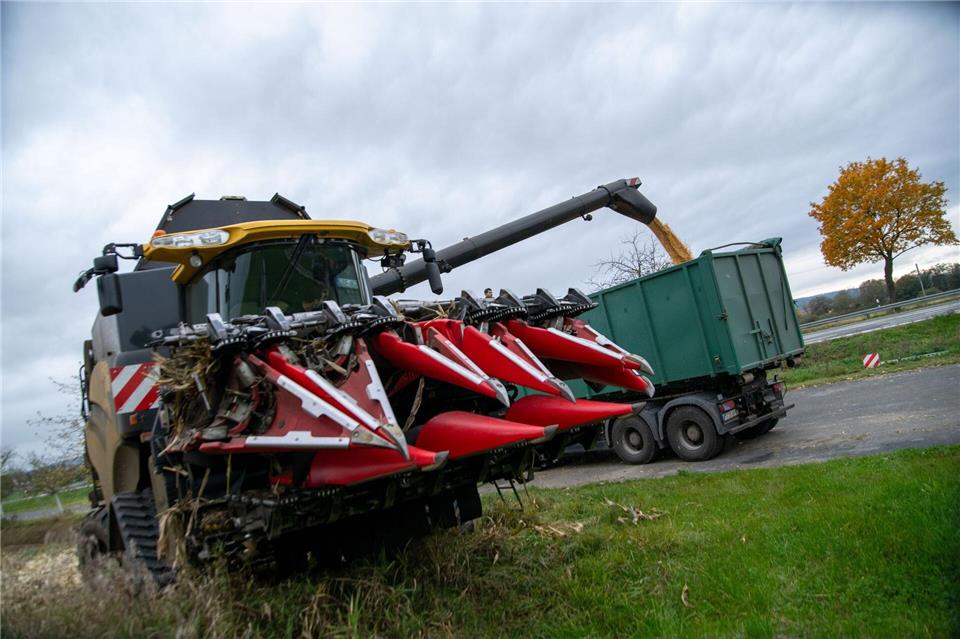 Kartoffel- und Maisernte hat begonnen: Verkehrsbehinderungen Die Mais- und Kartoffelernte fällt in diesem Jahr gut aus. (Symbolbild)Pia Bayer/dpa