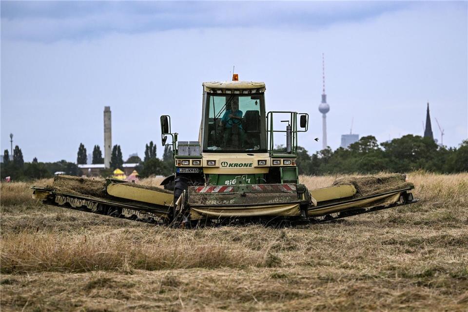 Die Maschine ist etwa zehn Meter breit.Britta Pedersen/dpa