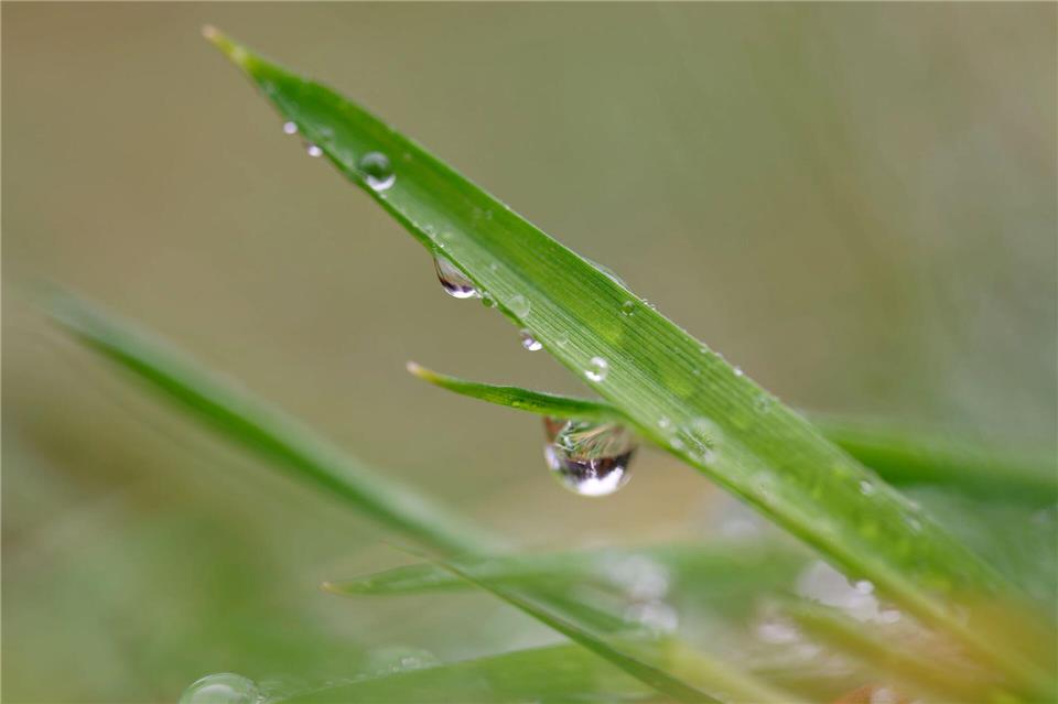 Die Menschen in Baden-Württemberg können sich auf wechselhaftes Wetter einstellen.Uwe Anspach/dpa