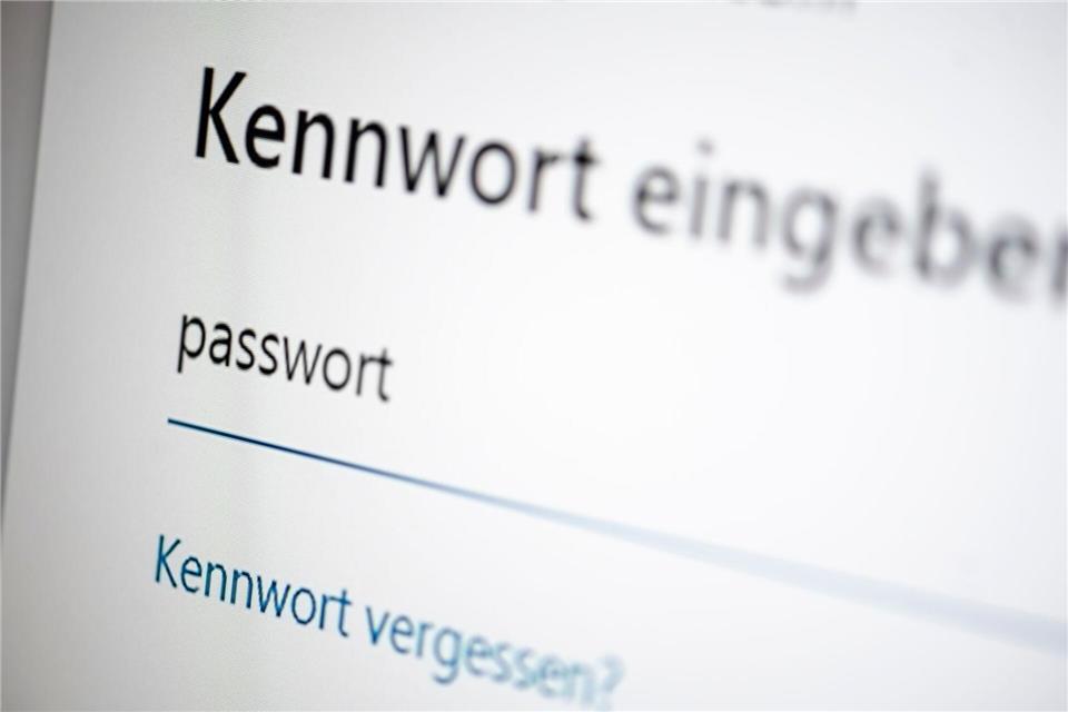Die Menschen in Deutschland, die sich im Internet bewegen, haben großes Vertrauen in ihre Passwörter, verhalten sich im Alltag aber oft leichtsinnig. (Symbolbild)Fabian Sommer/dpa