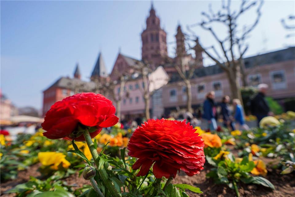 Die Menschen in Rheinland-Pfalz und im Saarland erwartet ein heiterer und trockener Frühlingstag. (Archivbild)Andreas Arnold/dpa
