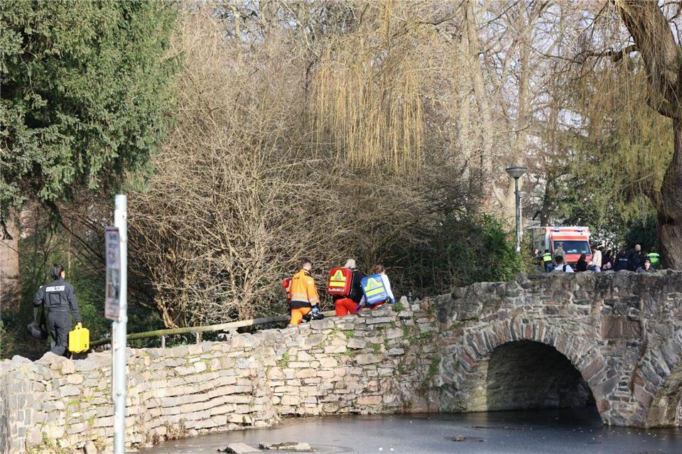 Politik fordert Aufklärung nach Gewalttat in Aschaffenburg Die Menschen wurden im Park Schöntal angegriffen.Ralf Hettler/dpa