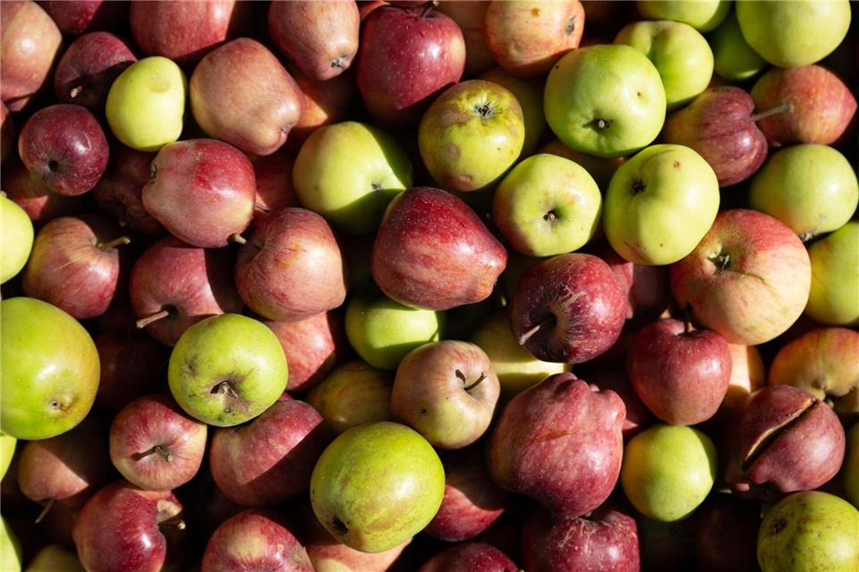 Die Messe BioOst in Leipzig rückt an diesem Wochenende ökologisch produzierte Lebensmittel in den Fokus (Archivbild).Sebastian Kahnert/dpa