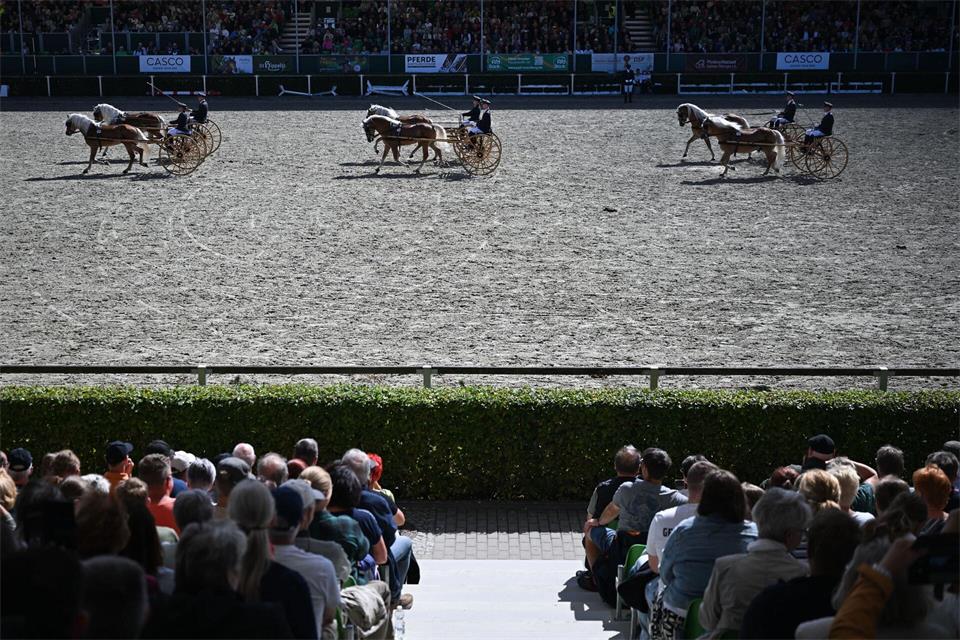 Die Moritzburger Hengstparaden locken auch dieses Jahr Pferdefans aus nah und fern. Katharina Kausche/dpa