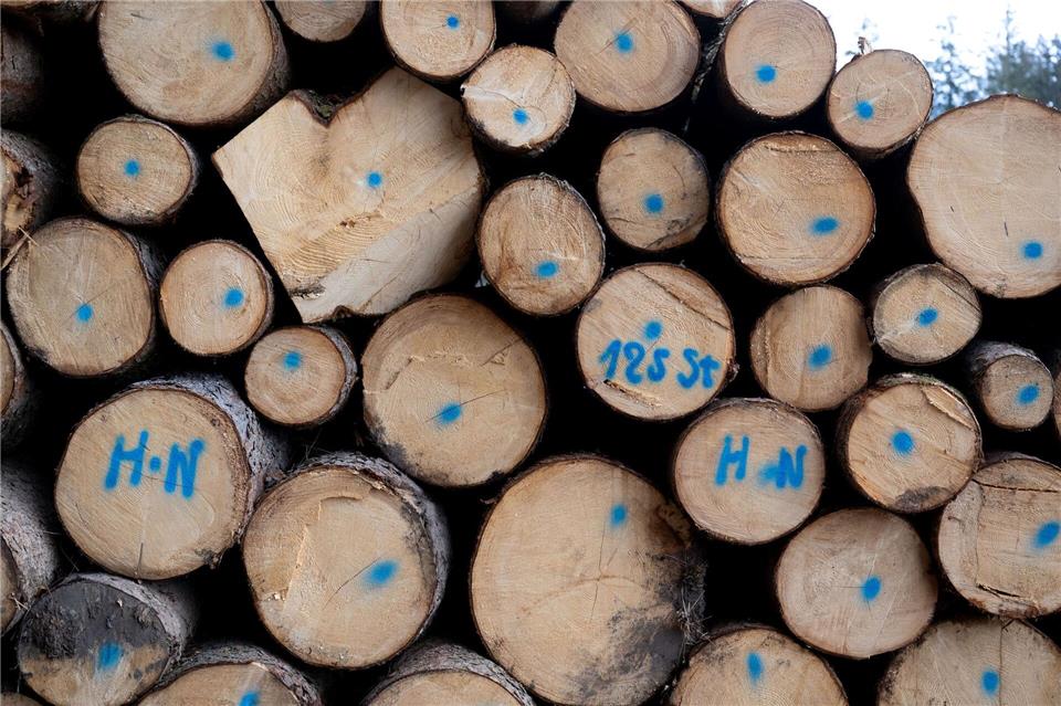 Die Nachfrage nach Brennholz schätzt Thüringenforst als stabil ein. (Symbolbild)Sven Hoppe/dpa