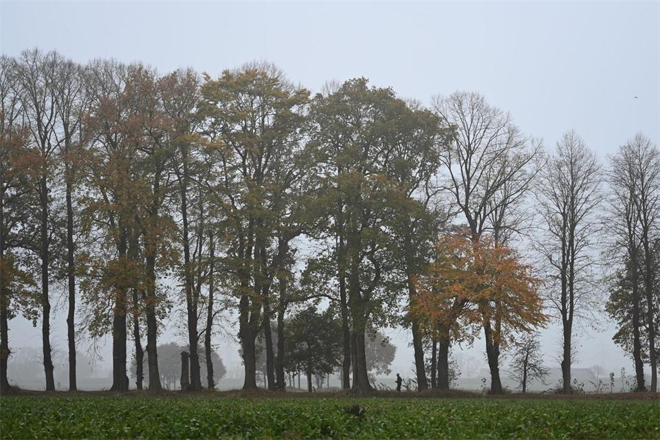 Die Nächte bringen leichten Frost. (Symbolbild)Lars Penning/dpa