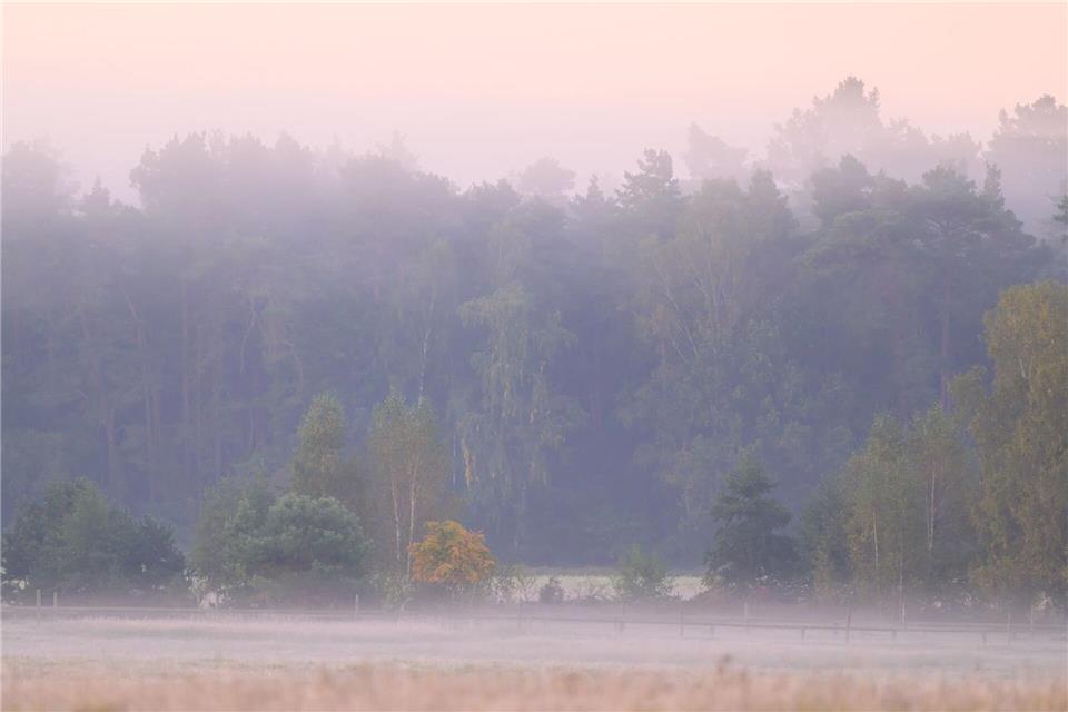 Die Nebelfelder lösen sich am Vormittag rasch auf. (Archivbild)Patrick Pleul/dpa