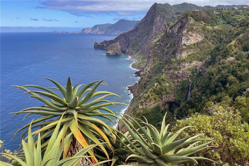 Die Nordostküste Madeiras: Blick vom Weingut-Hotel Quinta do Furão aus.Manuel Meyer/dpa-tmn