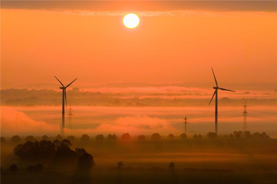 Die OECD fordert mehr Tempo beim Klimaschutz. (Archivbild)Julian Stratenschulte/dpa