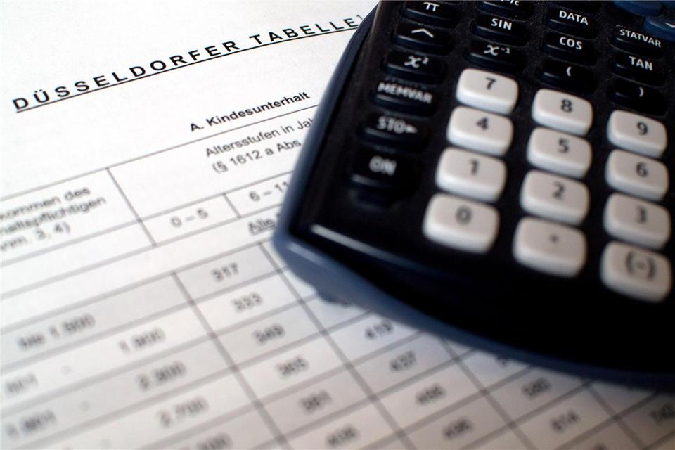 Die Offenlegungspflicht des Einkommens entfällt bei Zahlung des Höchstsatzes und unbegrenzter Leistungsfähigkeit.Henning Kaiser/dpa