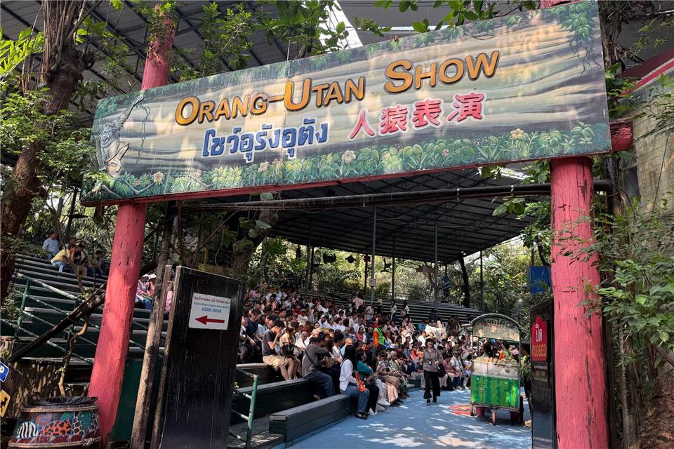 Die Orang-Utan-Shows sind weiter beliebt.Carola Frentzen/dpa