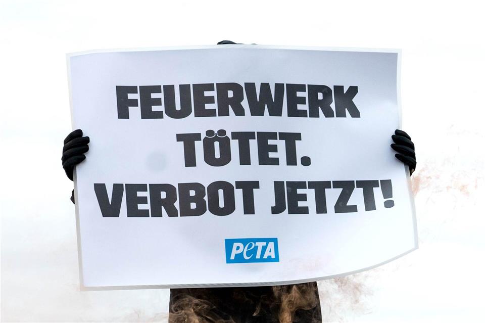 Die Organisation möchte ein privates Feuerwerk-Verbot erreichen.Sina Schuldt/dpa