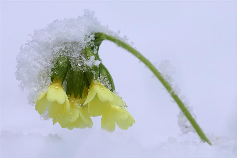 Die Osterferien beginnen mit ungemütlichem Wetter. (Archivbild)Karl-Josef Hildenbrand/dpa