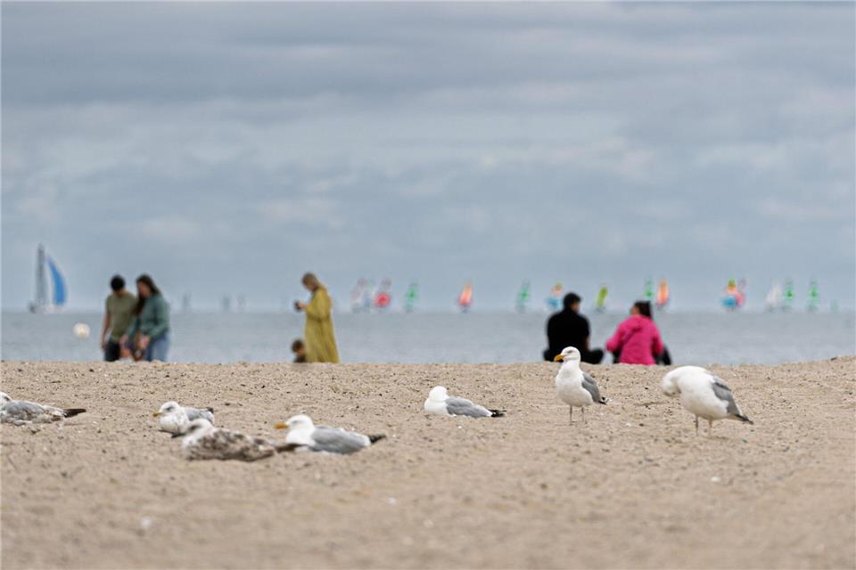Die Ostsee gehört zu den Reisezielen der NRW-Minister. (Illustration)Markus Scholz/dpa