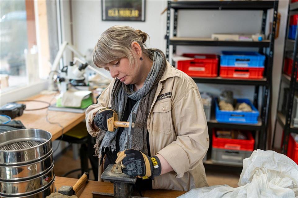 Die Paläontologin Lea Numberger-Thuy vom Dinosaurierpark Teufelsschlucht in Ernzen.LMZ Media/Dinosaurierpark Teufelsschlucht/dpa