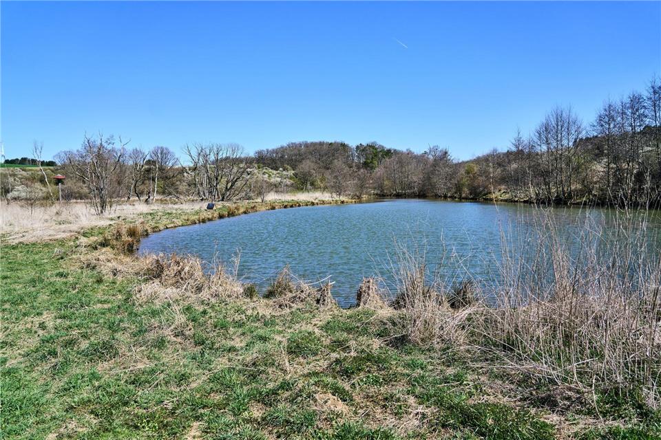 Die Pflege von Biotopen ist eine Aufgabe, um die sich Naturschutzstationen kümmern sollen. (Archivfoto)Sascha Ditscher/dpa