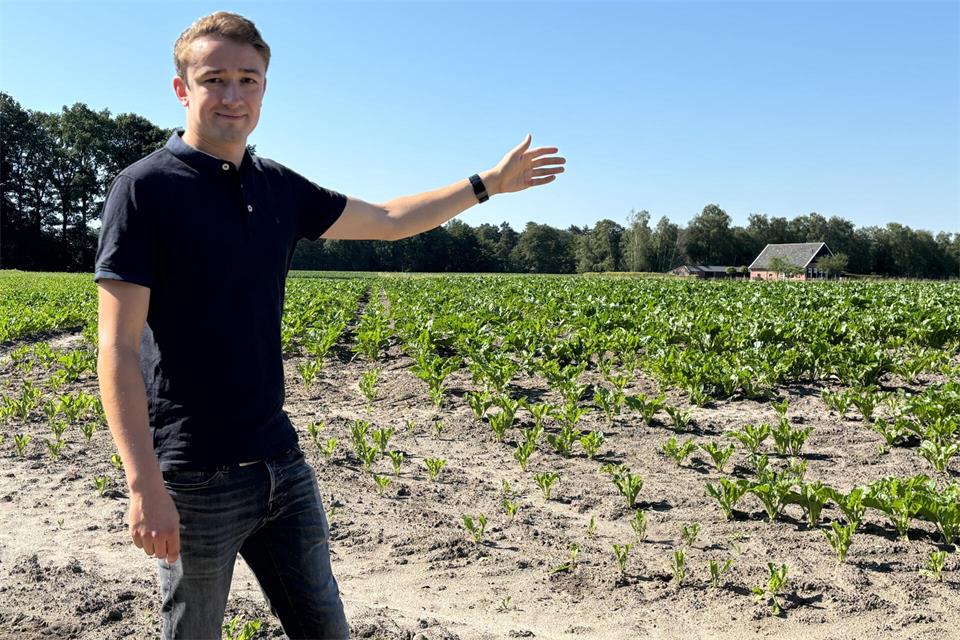 Die Pläne für den Bau von vier von neun Windrädern bei Oeding wurden nun von den Stadtwerken Münster gekippt. Chiel Stemerdink hat sich jahrelang gegen den Bau eingesetzt.