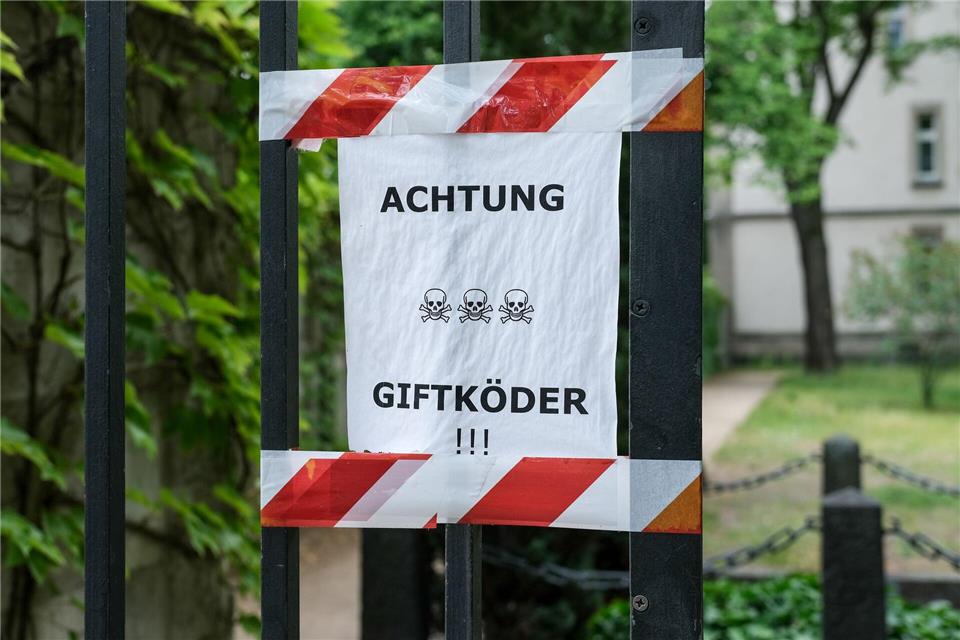 Die Polizei ermittelt nach dem Fund der Giftköder. (Symbolbild)Jens Kalaene/dpa-Zentralbild/dpa