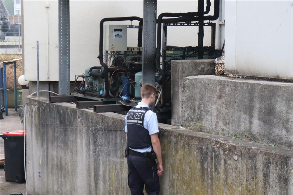 Die Polizei ermittelt zur Brandursache.Rene Priebe/dpa