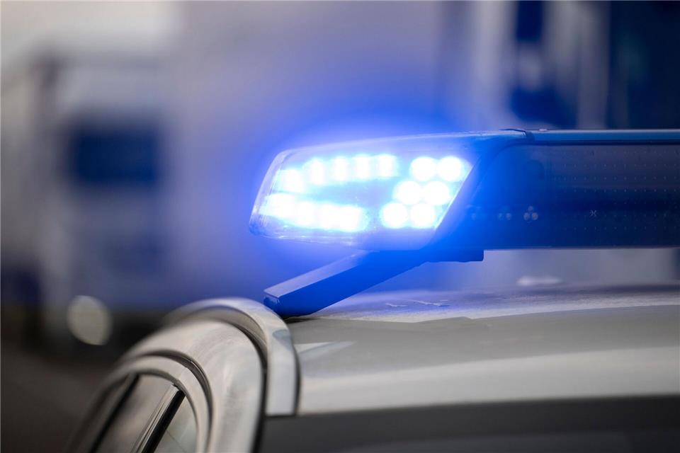 Die Polizei hat die Spinne unbeschadet nach draußen gebracht. (Symbolbild)Marijan Murat/dpa