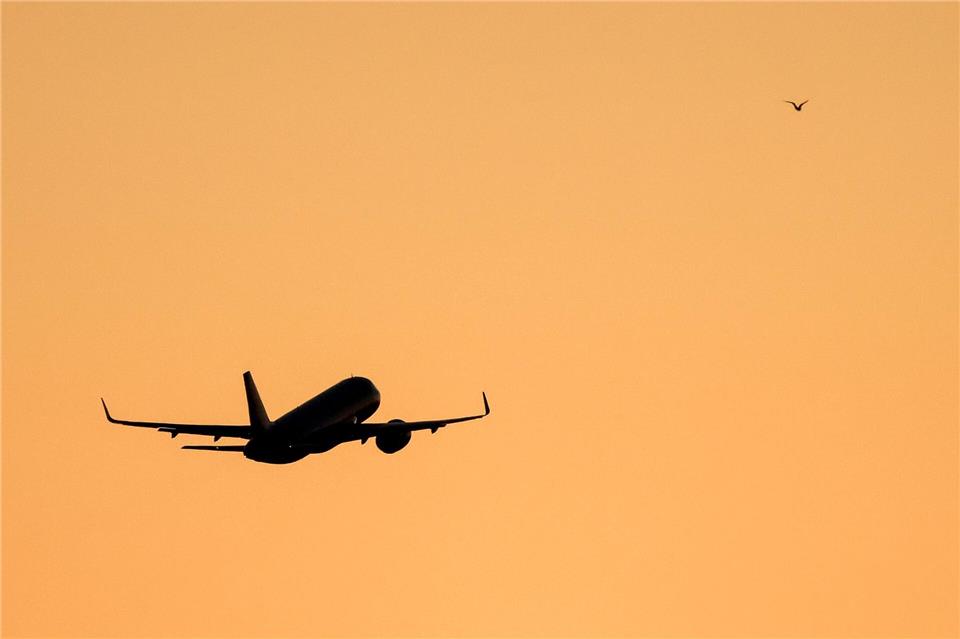 Die Polizei hat einen betrunkenen Passagier aus einem Flugzeug geholt. (Symbolbild)Jan Woitas/dpa