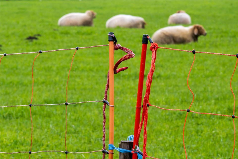 Die Polizei schätzt den Schaden auf einen unteren fünfstelligen Betrag. (Symbolbild)Peter Kneffel/dpa