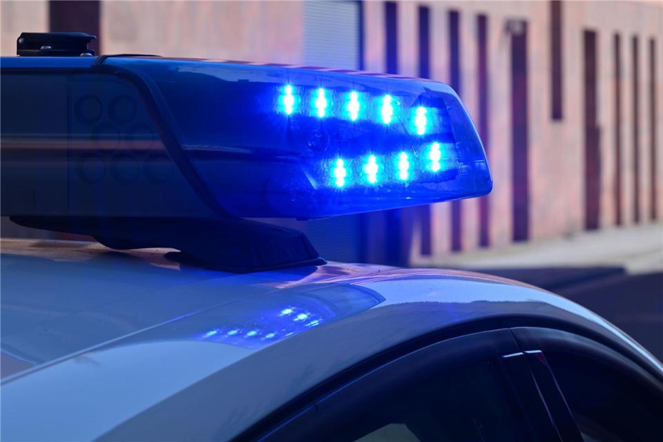 Die Polizei sucht Zeuge für den Diebstahl. (Symbolbild)Patrick Pleul/dpa