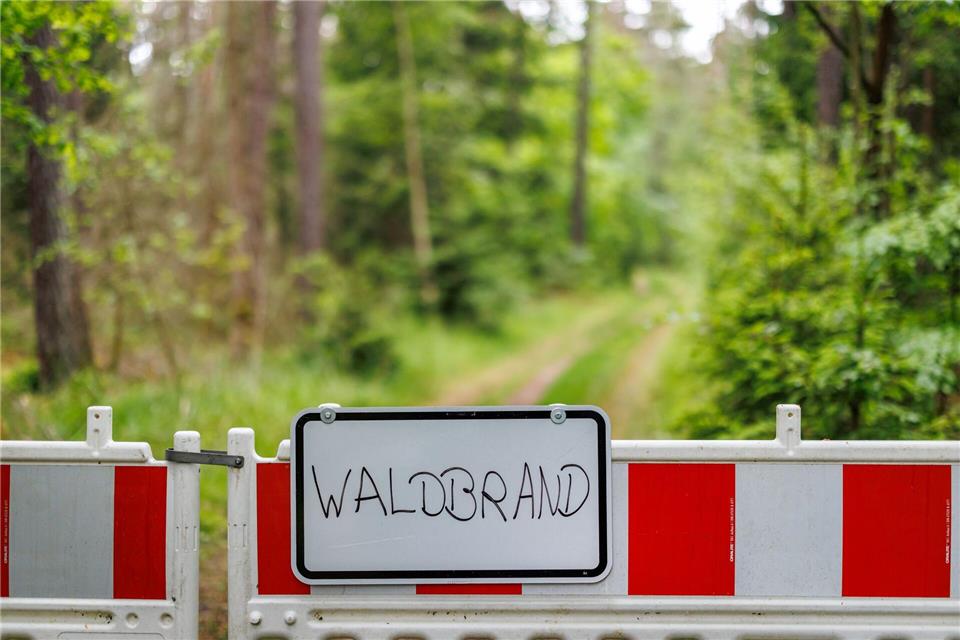 Die Polizei sucht Zeugen nach einem Waldbrand im Kreis Merzig-Wadern. (Symbolbild)Daniel Karmann/dpa