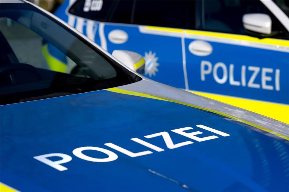 Die Polizei übergab die Welpen an ein Tierheim. (Symbolbild)Sven Hoppe/dpa