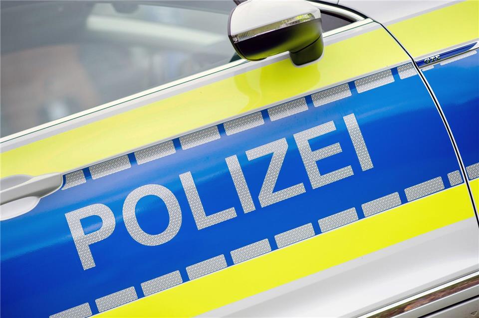 Die Polizei übergab die beiden Kinder an ihre Erziehungsberechtigten. (Symbolbild)Hauke-Christian Dittrich/dpa