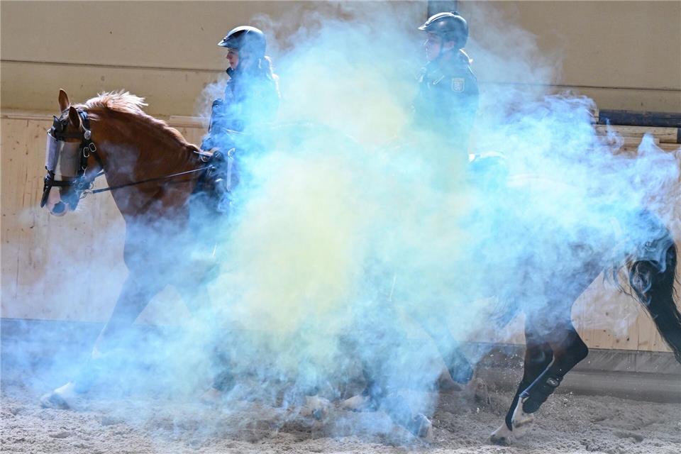 Die Polizeistaffel ist bei unterschiedlichsten Einsätzen dabei.(Archivbild)Arne Dedert/dpa