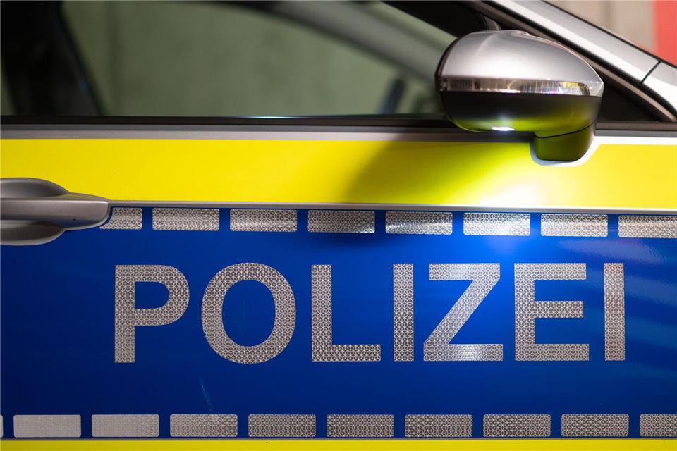 Die Polizisten nahmen zwei tatverdächtige Brüder fest. (Symbolbild)Robert Michael/dpa
