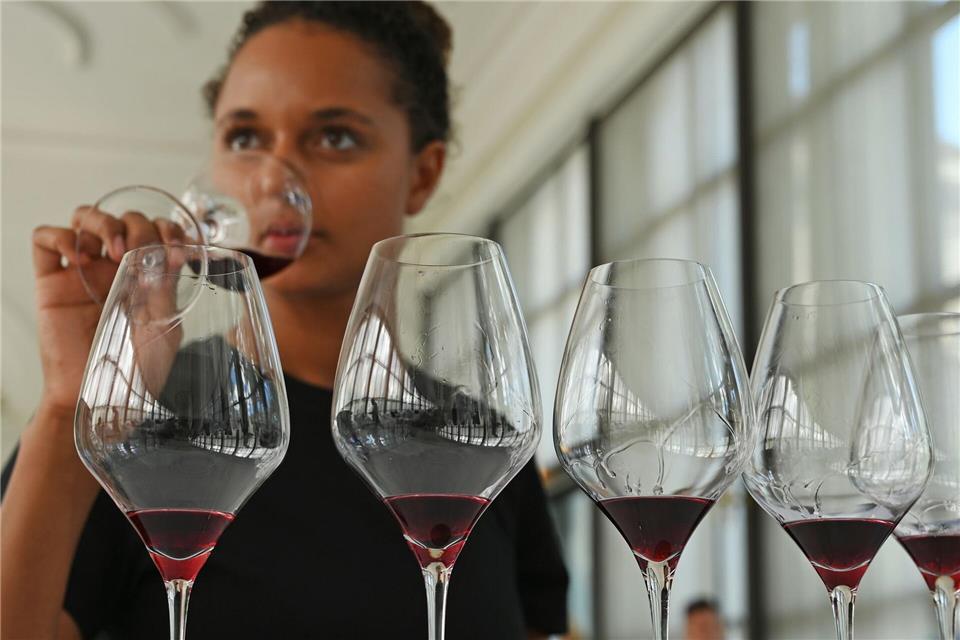 Die Prädikatsweingüter verkaufen drei Viertel ihrer Weine im Inland. (Archivbild)Peter Zschunke/dpa