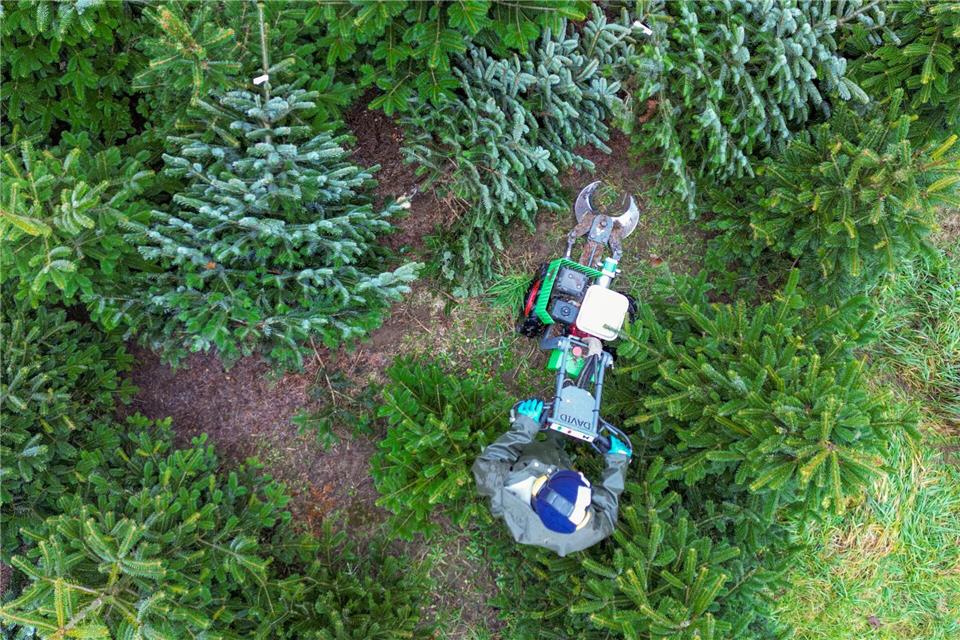 Die Preise könnten in diesem Jahr leicht steigen.Patrick Pleul/dpa